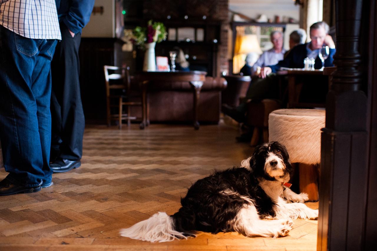 The Thomas Lord Hotel West Meon Exterior photo